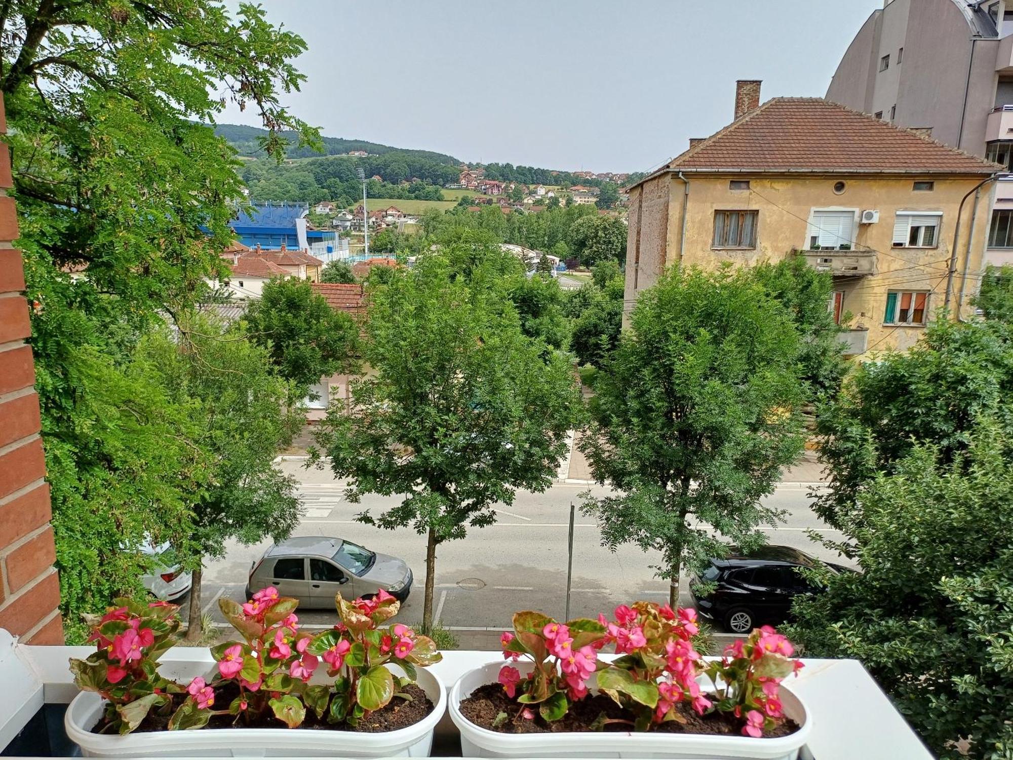 Eva * Gornji Milanovac